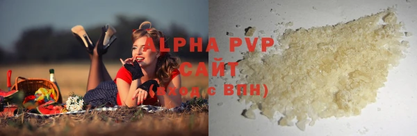 стаф Белокуриха