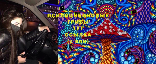 2c-b Белоозёрский