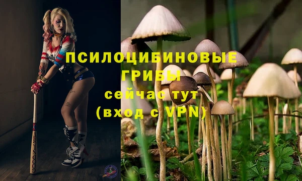 2c-b Белоозёрский
