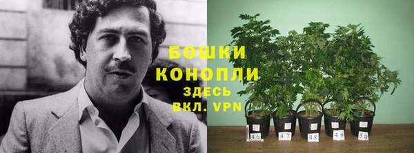 каннабис Баксан