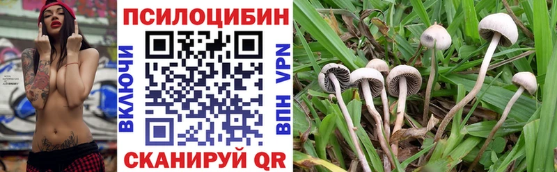 Галлюциногенные грибы Magic Shrooms  наркошоп  Шагонар 